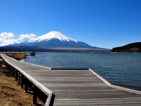 地元ガイドの案内で行く！山中湖一周サイクリングツアー　富士五湖で一番大きな湖を周遊！＜午前・午後／山中湖村＞