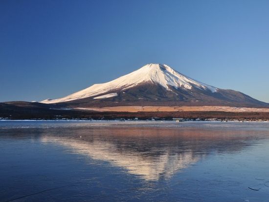 11000003329805_IZM5GMue_4