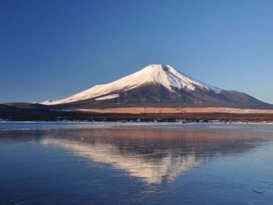 地元ガイドの案内で行く！山中湖一周サイクリングツアー　富士五湖で一番大きな湖を周遊！＜午前・午後／山中湖村＞