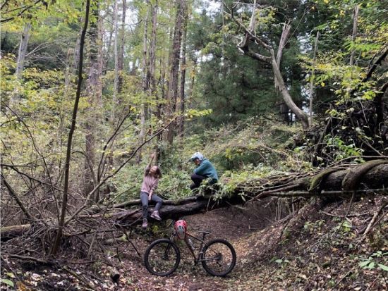 富士山麓プチダウンヒル・ミドルコース　富士山・樹海の大自然をMTBで駆け降りる！＜富士河口湖町＞