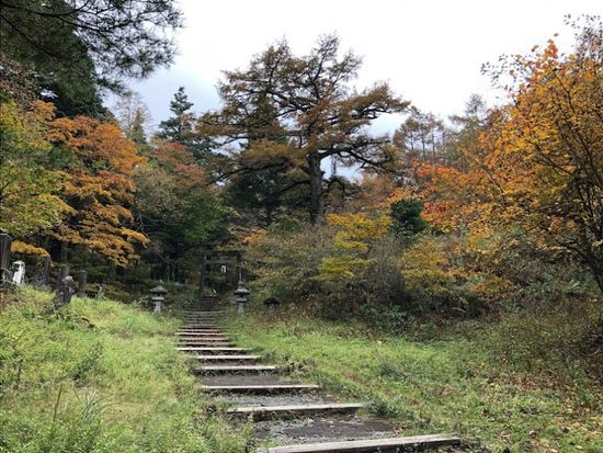 11000003330507_D9FL6G81_4