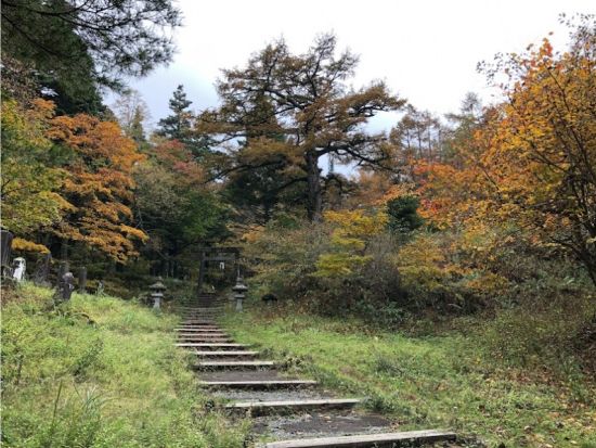富士の樹海をサイクリング＆トレッキングツアー！暗闇と静寂広がる溶岩洞窟探検も！＜午前・午後／富士河口湖町＞