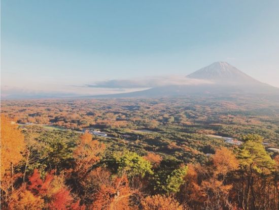 富士の樹海をサイクリング＆トレッキングツアー！暗闇と静寂広がる溶岩洞窟探検も！＜午前・午後／富士河口湖町＞