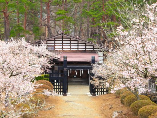 世界遺産富士山の構成資産を巡るサイクリングツアー！富士吉田編＜午前・午後／富士河口湖町＞