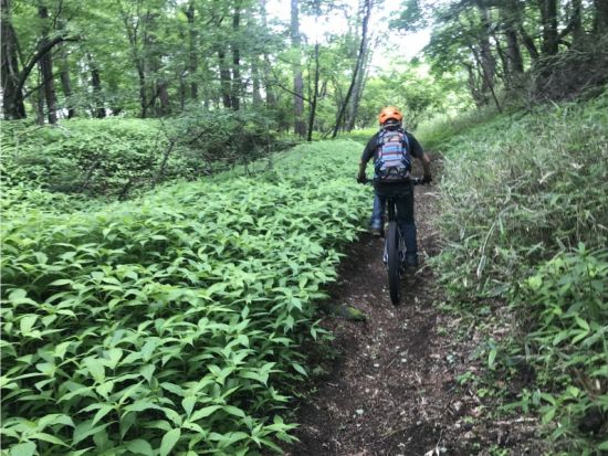 富士山麓プチダウンヒル・ミドルコース　富士山・樹海の大自然をMTBで駆け降りる！＜富士河口湖町＞