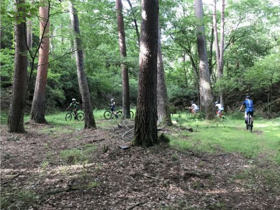 富士山麓プチダウンヒル・ロングコース　富士山・樹海の大自然をMTBで駆け降りる！＜富士河口湖町＞