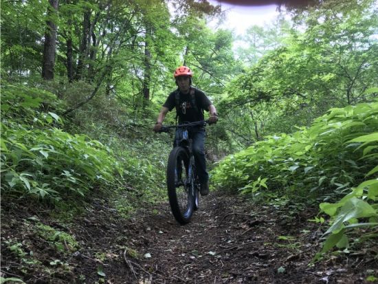 富士山麓プチダウンヒル・ミドルコース　富士山・樹海の大自然をMTBで駆け降りる！＜富士河口湖町＞