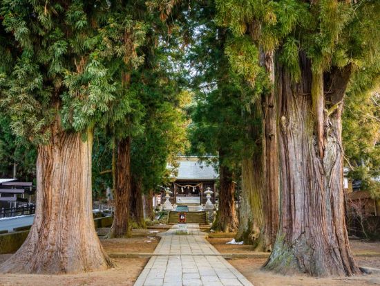 世界遺産富士山の構成資産を巡るサイクリングツアー！河口湖編＜午前・午後／富士河口湖町＞