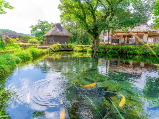 世界遺産富士山の構成資産を巡るサイクリングツアー！山中湖・忍野八海編＜午前・午後／山中湖村＞