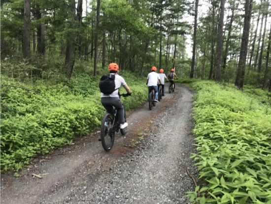 富士山麓プチダウンヒル・ロングコース　富士山・樹海の大自然をMTBで駆け降りる！＜富士河口湖町＞