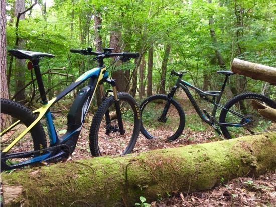 富士山麓フィトンチッドツアー・ロングコース　MTBで森の中を駆ける！＜富士河口湖町＞