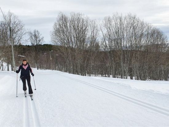 初心者歓迎！クロスカントリースキー体験 温かい飲み物＆お菓子休憩付き＜11～4月／英語ガイド／トロムソ発＞