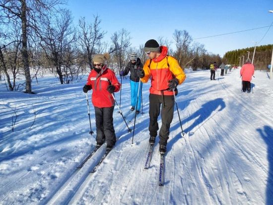 初心者歓迎！クロスカントリースキー体験 温かい飲み物＆お菓子休憩付き＜11～4月／英語ガイド／トロムソ発＞