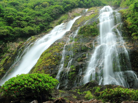 安房川リバーカヤック＆島内観光ツアー　屋久島公認ガイド田脇さんと行く！半日カヤック体験とアレンジ可能なあなただけのオリジナル島内観光　by ショアーズ