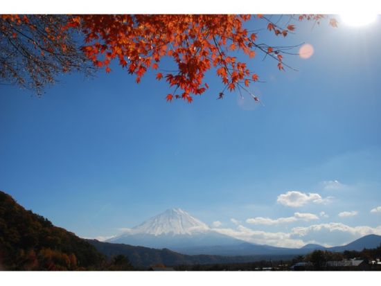 地元ガイドの案内で行く！西湖一周サイクリングツアー　豊かな自然が数多く残るコースを満喫！＜富士河口湖町西湖＞