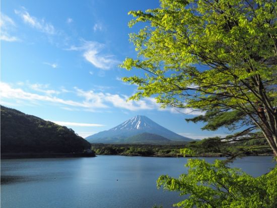 地元ガイドの案内で行く！精進湖一周サイクリングツアー　家族連れにもおすすめのコースを満喫！＜富士河口湖町精進＞