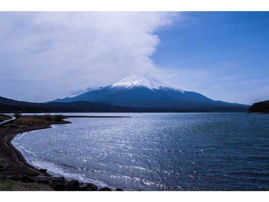 11000003330405_IZM5GMue_13