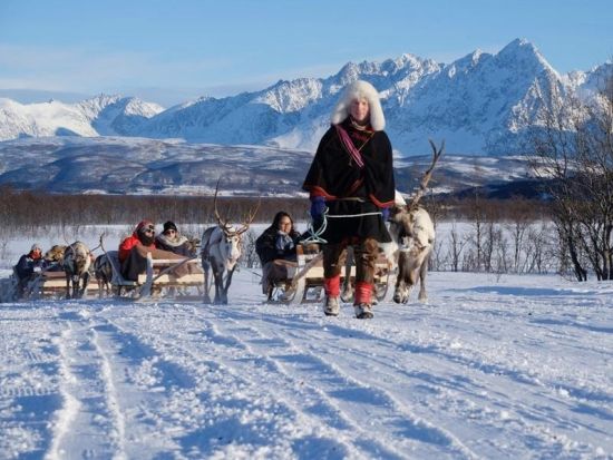 トナカイぞりと餌やり体験＆サーミ文化体験ツアー！伝統料理「ビードス」のランチ付き＜11～4月／英語ガイド／トロムソ発＞