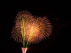 shutterstock_262446008 (1)
