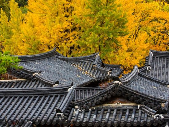 ソウル郊外観光ツアー　京畿道の3大世界遺産を巡る！南漢山城＋水原華城＋隆健陵＜1日／日本語ガイド／昼食付／ホテル送迎付＞