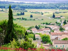 Southern_France_Chateauneuf-du-Pape_shutterstock_204136090