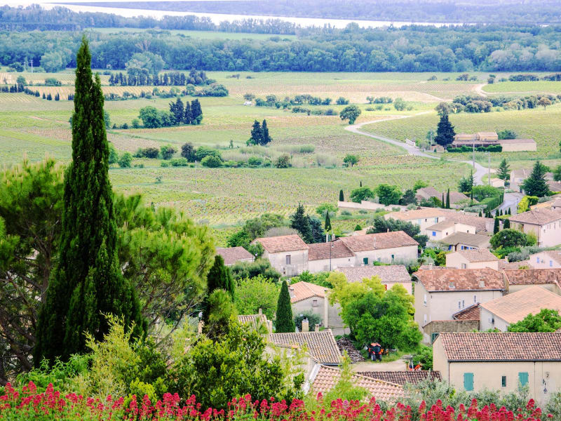 Southern_France_Chateauneuf-du-Pape_shutterstock_204136090