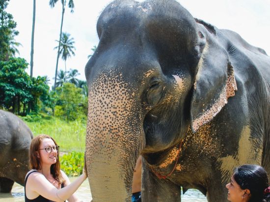 【クラビ発】アオナン・エレファント・サンクチュアリ半日ツアー　餌づくり・餌やり・マッドスパ・水浴びを体験＜午前・午後／英語ガイド＞