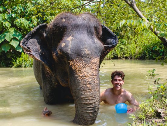 【クラビ発】アオナン・エレファント・サンクチュアリ半日ツアー　餌づくり・餌やり・マッドスパ・水浴びを体験＜午前・午後／英語ガイド＞