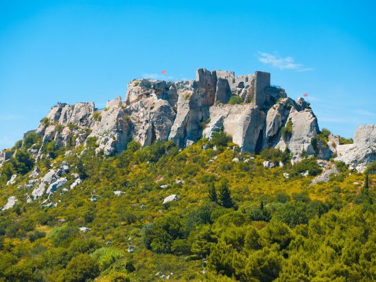 世界遺産ポン・デュ・ガール水道橋＋プロヴァンスの村めぐり　オリーブオイル製油所訪問付き＜貸切／終日／日本語ドライバー／アヴィニョン発＞