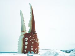 pixta_4565302_M