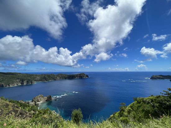 父島 島内観光ツアー 展望台からの絶景と自然を満喫！しっかり楽しむ終日ツアー＜1日／父島内送迎付／小笠原諸島・父島発＞by 小笠原ボニネンシストラベル