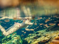 pixta_14382117_M