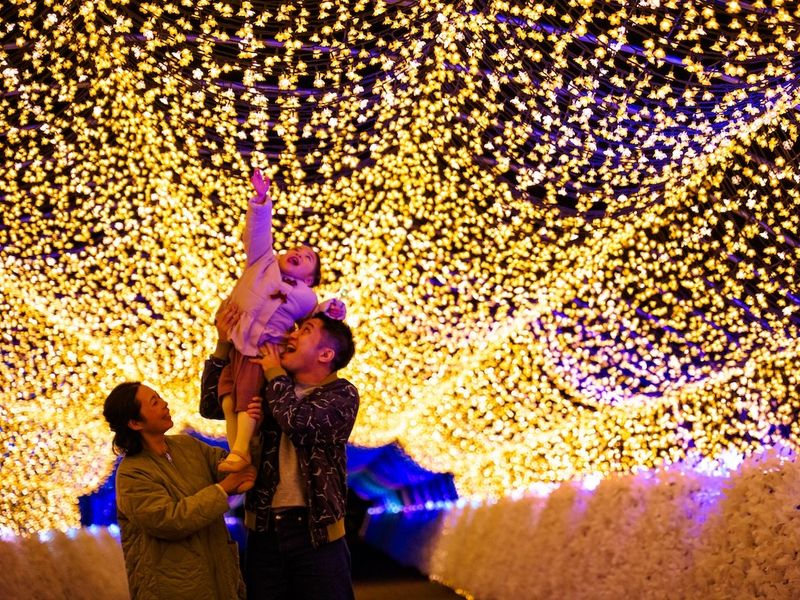 0c7e2bf3bcdb8d3bb8c96a3149ddf2c2