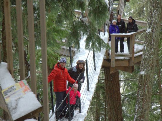 ジップライン　フィッツシモンズバレー　最長約730m 最大高低差30階相当のスリル満点コース ＜5本／ウィスラー発＞