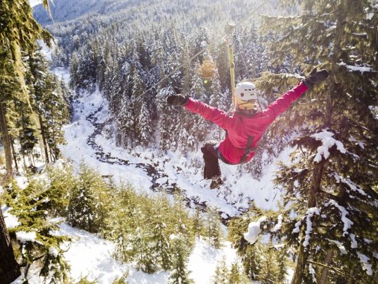 ジップライン　フィッツシモンズバレー　最長約730m 最大高低差30階相当のスリル満点コース ＜5本／ウィスラー発＞