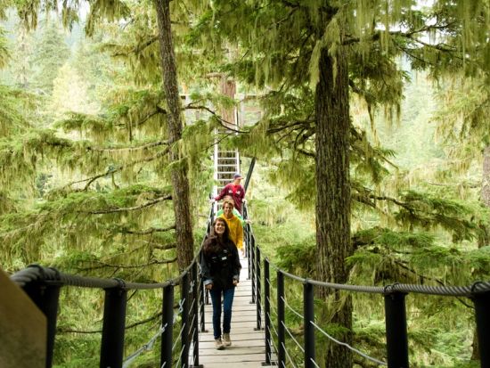 ジップライン　フィッツシモンズバレー　最長約730m 最大高低差30階相当のスリル満点コース ＜5本／ウィスラー発＞