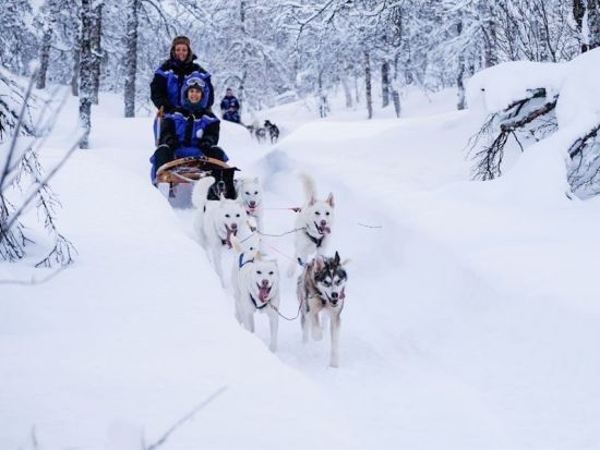 雪原を犬ぞりで駆け抜ける！ハスキーサファリツアー 昼食＆温かい飲み物付き＜12～3月／トロムソ発＞