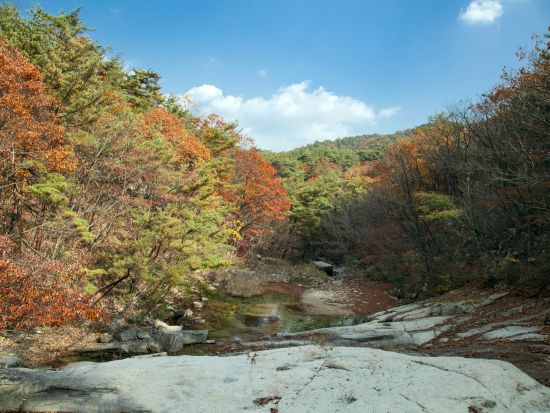 【貸切チャーター】岳山、俗離山、扶余、全州を自由に観光　空港発着オプションあり！＜日本語ドライバー／最大6名＞*車1台あたり料金