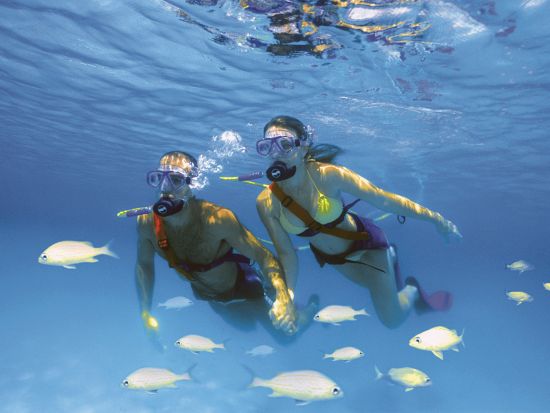 【有料アトラクション1つ付き】大自然のテーマパーク「シェルハ海洋公園」 ウォーターパークで川下りや洞窟探検＜食べ飲み放題／英語ドライバー／カンクン発＞