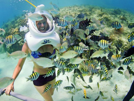 【有料アトラクション1つ付き】大自然のテーマパーク「シェルハ海洋公園」 ウォーターパークで川下りや洞窟探検＜食べ飲み放題／英語ドライバー／カンクン発＞