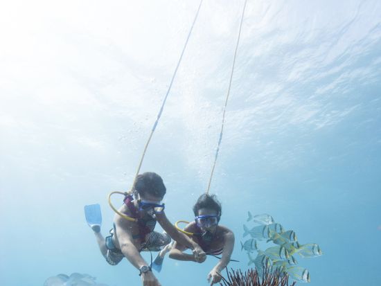 【有料アトラクション1つ付き】大自然のテーマパーク「シェルハ海洋公園」 ウォーターパークで川下りや洞窟探検＜食べ飲み放題／英語ドライバー／カンクン発＞