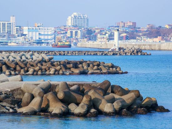 江原・平昌＆江陵観光ツアー 「トッケビ」のロケ地へも！注文津港＋江陵中央市場＋大関嶺羊牧場+月精寺＜1日／日本語ガイド／昼食付き／ソウル発＞