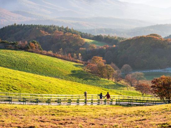 江原・平昌＆江陵観光ツアー 「トッケビ」のロケ地へも！注文津港＋江陵中央市場＋大関嶺羊牧場+月精寺＜1日／日本語ガイド／昼食付き／ソウル発＞