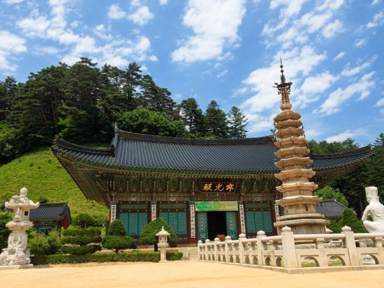 江原・平昌＆江陵観光ツアー 「トッケビ」のロケ地へも！注文津港＋江陵中央市場＋大関嶺羊牧場+月精寺＜1日／日本語ガイド／昼食付き／ソウル発＞