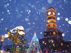 pixta_36436311_M
