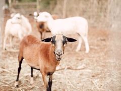 IMG-9513