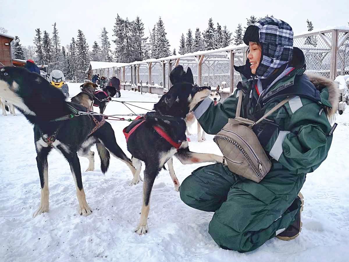 犬ぞり | スウェーデン 旅行の観光・オプショナルツアー予約 VELTRA