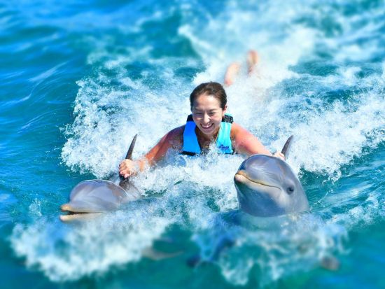 イスラ・ムへーレス島でイルカやマナティーとふれあい体験　選べるプランあり＜英語インストラクター／カンクン発＞