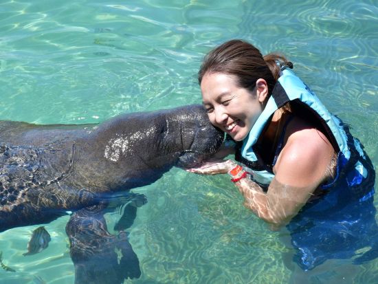 イスラ・ムへーレス島でイルカやマナティーとふれあい体験　選べるプランあり＜英語インストラクター／カンクン発＞