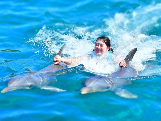 イスラ・ムへーレス島でイルカやマナティーとふれあい体験　選べるプランあり＜英語インストラクター／カンクン発＞